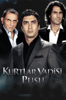 Vadi