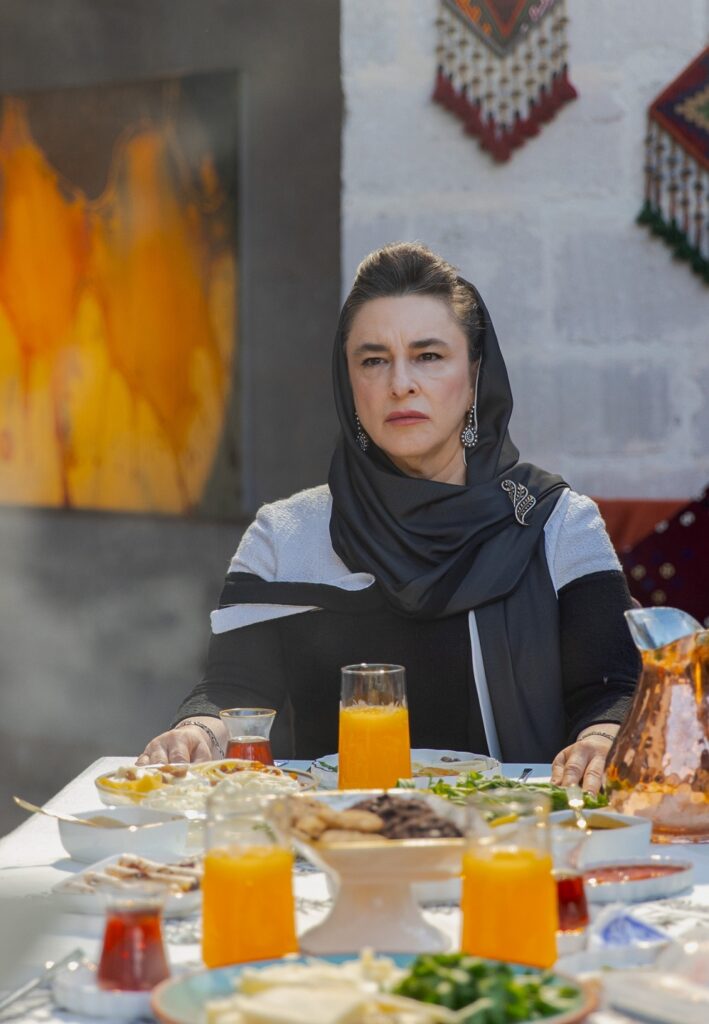 جزئیات پخش و داستان نیمه مادر (Anne Yarısı) - تصویر 4