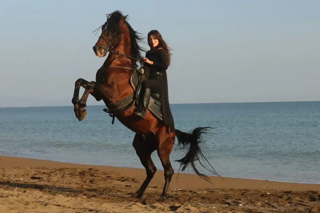 «عشقم کارادنیز» دوشنبهشبها روی آنتن میرود؟ زمان احتمالی شروع سریال مشخص شد